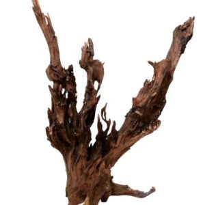 Dark Wood XL (oltre 60 cm)