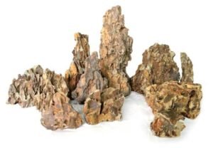 Dragon Stone