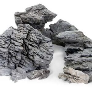 Seiryu Stone