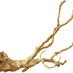 Branch Wood