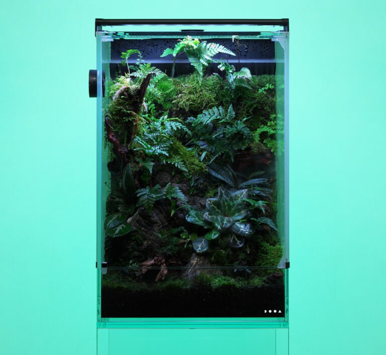 come realizzare un terrario